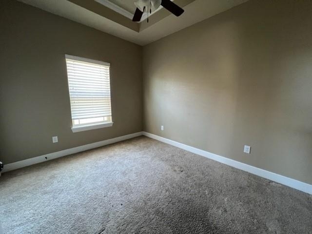 4725 Big Bend Trail - Photo 16