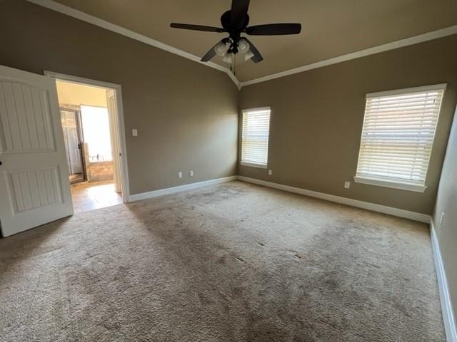 4725 Big Bend Trail - Photo 10