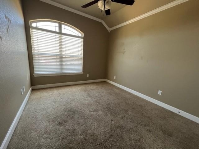 4725 Big Bend Trail - Photo 15
