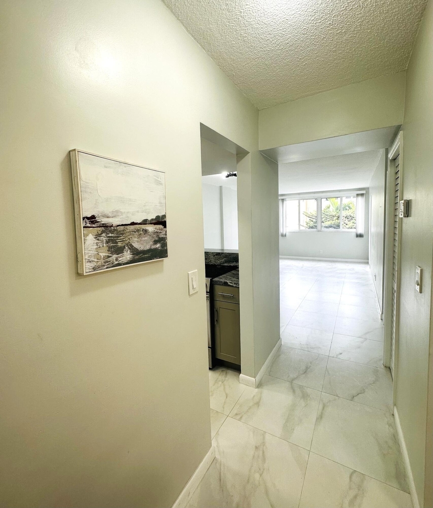 1333 E Hallandale Beach Boulevard - Photo 3