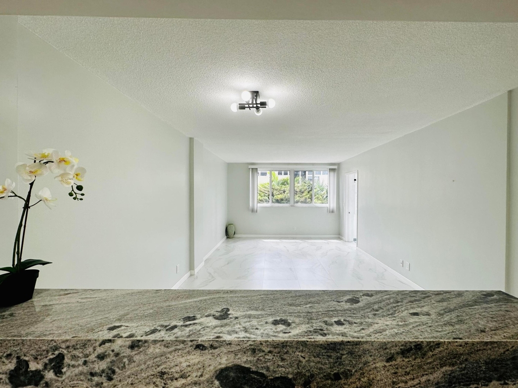 1333 E Hallandale Beach Boulevard - Photo 29