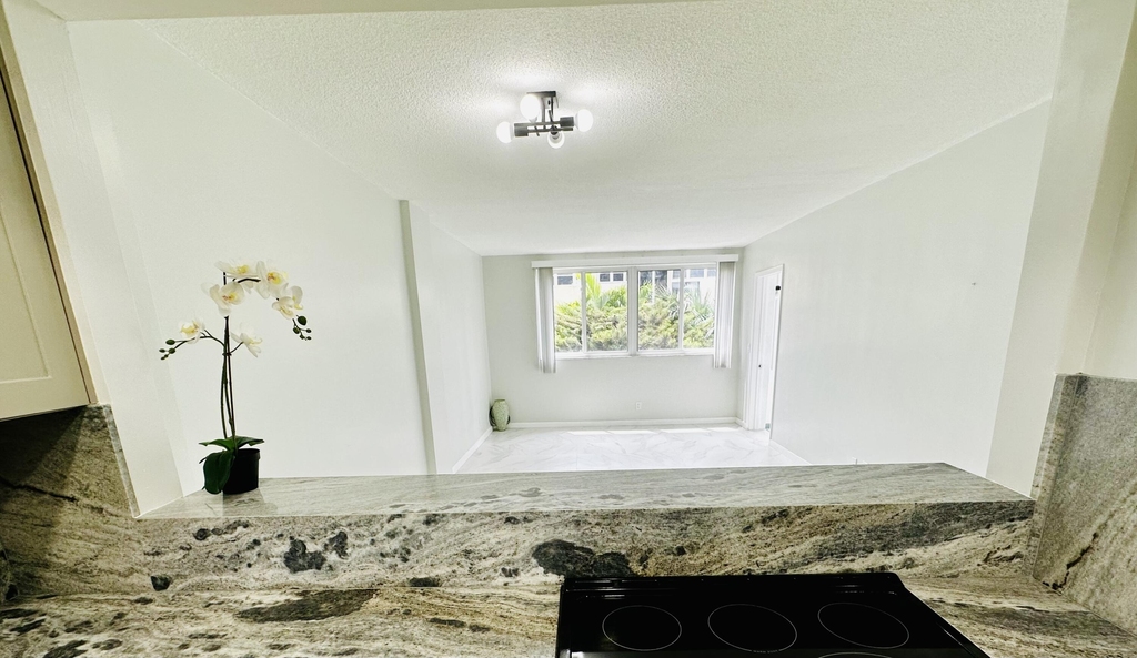 1333 E Hallandale Beach Boulevard - Photo 10