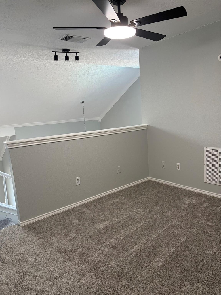 1911 Buffalo Bend Drive - Photo 19
