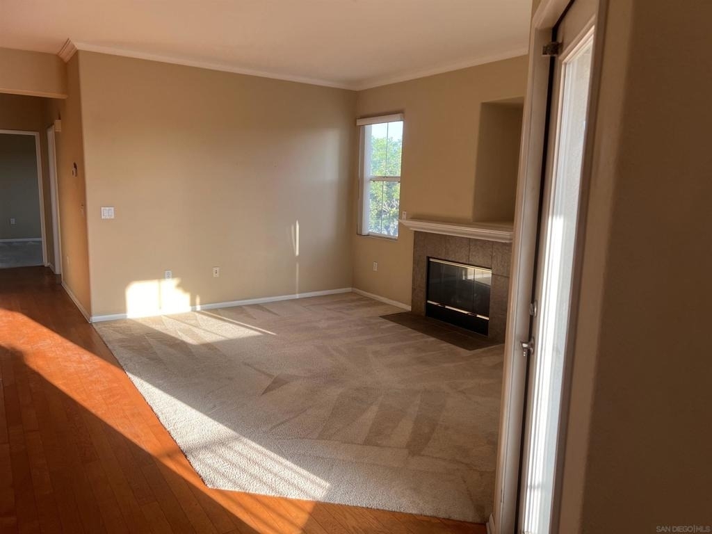 10910 Serafina Ln - Photo 1