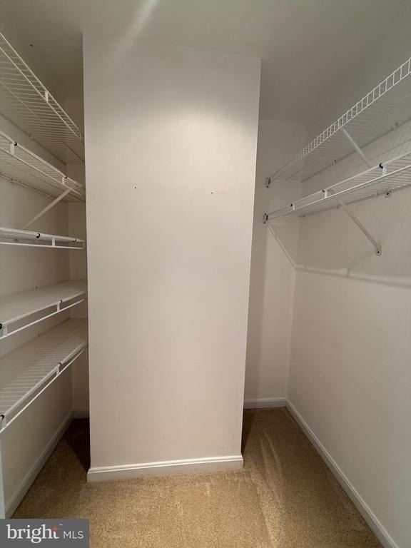 3969 Cressida Place - Photo 13
