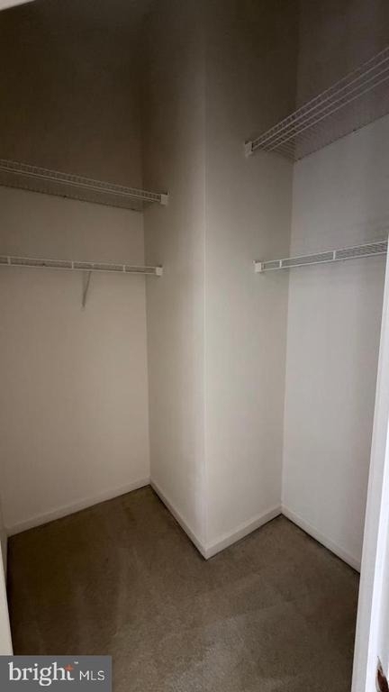 13643 Saint Johns Wood Place - Photo 31