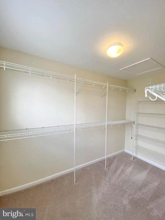 81 Arell Court - Photo 23