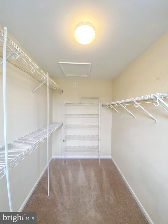 81 Arell Court - Photo 24