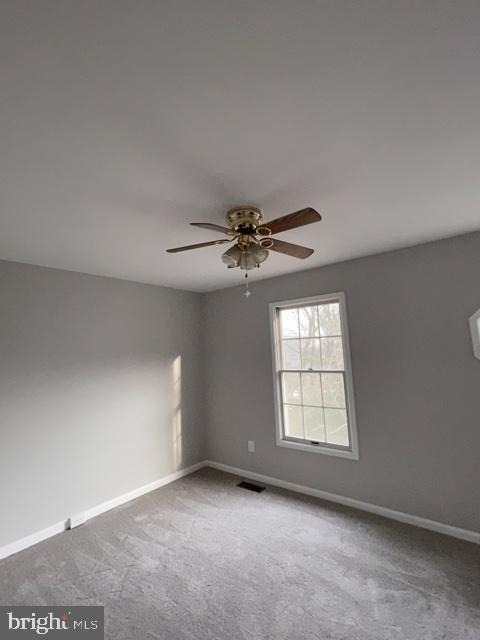 5003 9th Street S - Photo 23