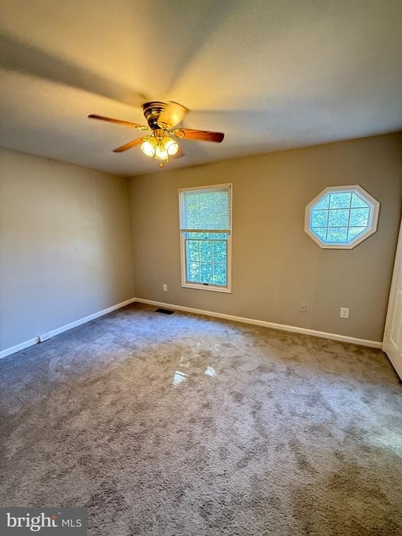 5003 9th Street S - Photo 24