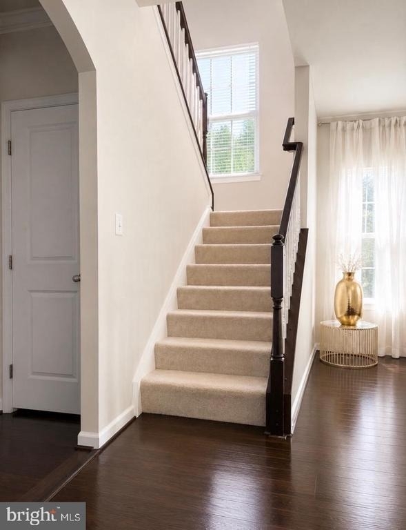 728 Falcon Lane - Photo 14