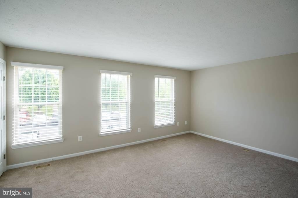 344 Honey Locust Court - Photo 9