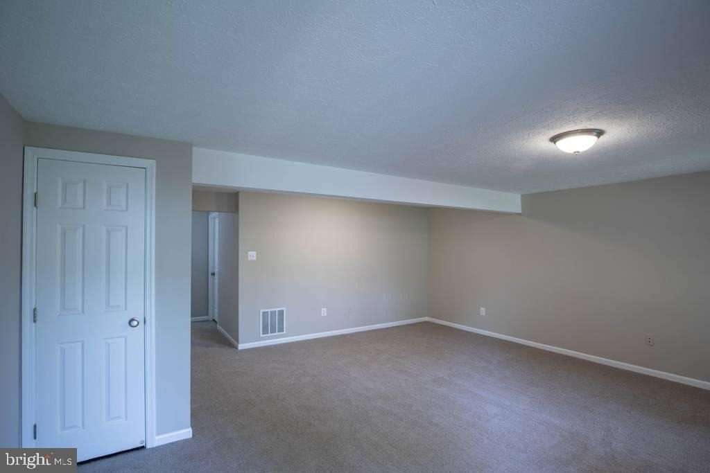 344 Honey Locust Court - Photo 16