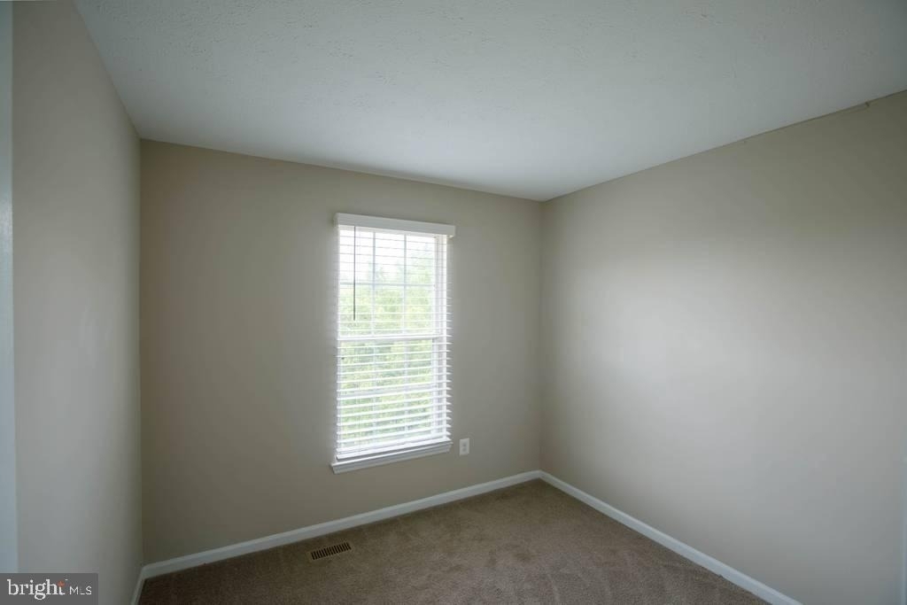 344 Honey Locust Court - Photo 11