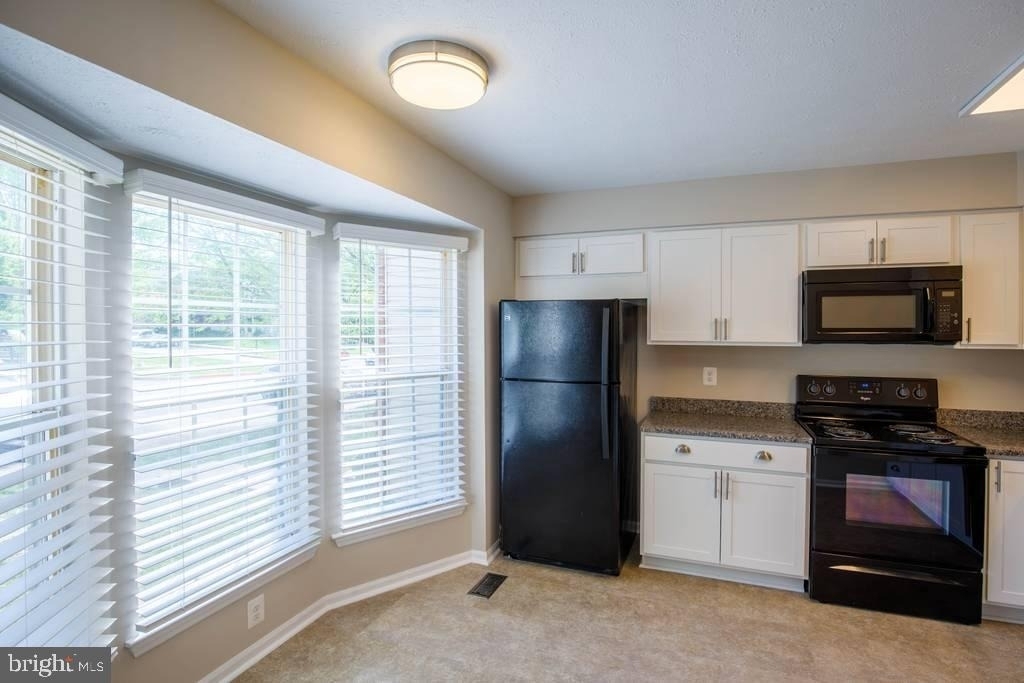 344 Honey Locust Court - Photo 3