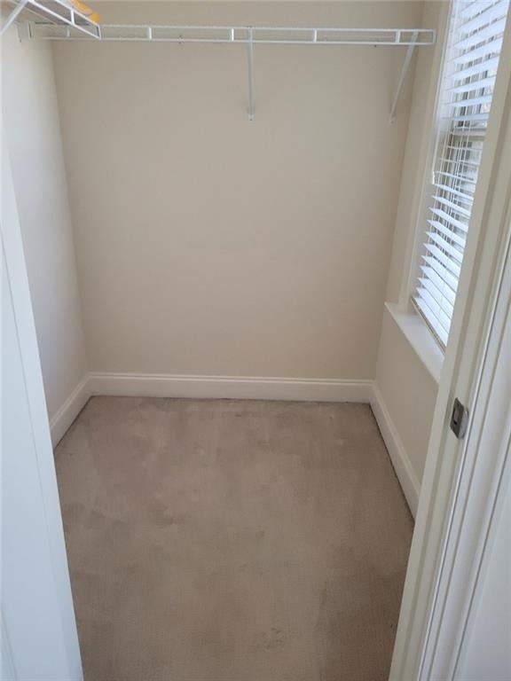 8540 Andrast Alley - Photo 33