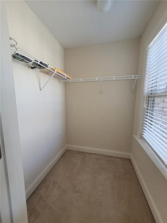 8540 Andrast Alley - Photo 48