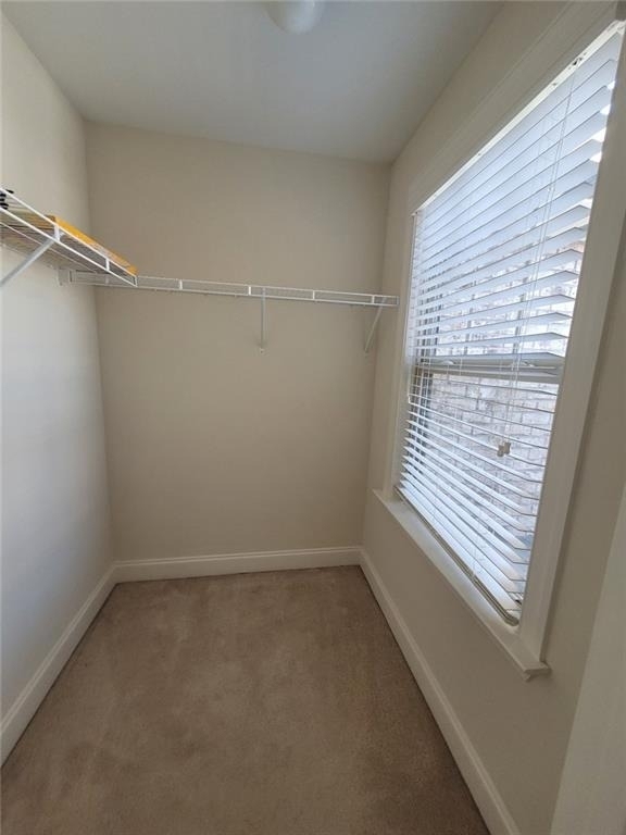8540 Andrast Alley - Photo 49