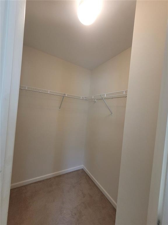 8540 Andrast Alley - Photo 50