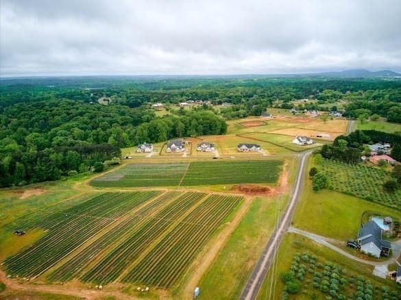 5430 Crow Road - Photo 30
