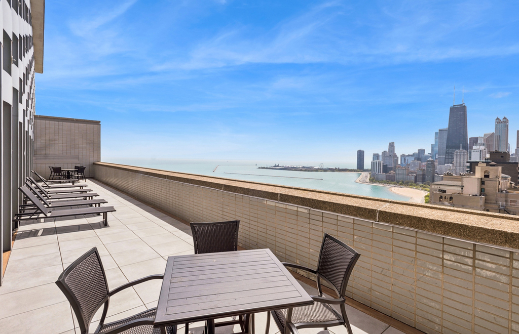 1550 N Lake Shore Drive - Photo 9