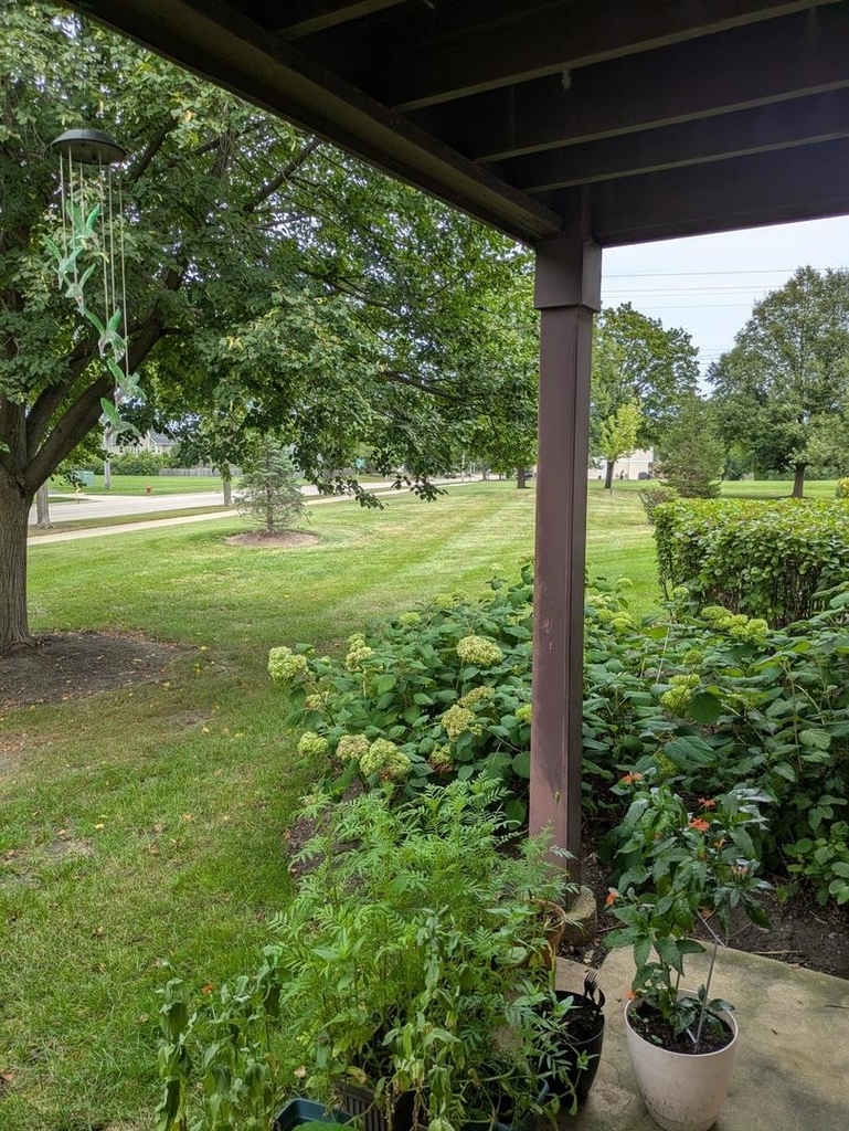 199 Lawn Court - Photo 1