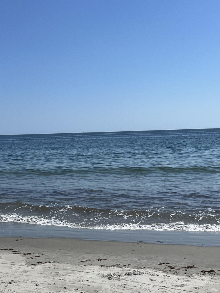 18 Ocean - Photo 11