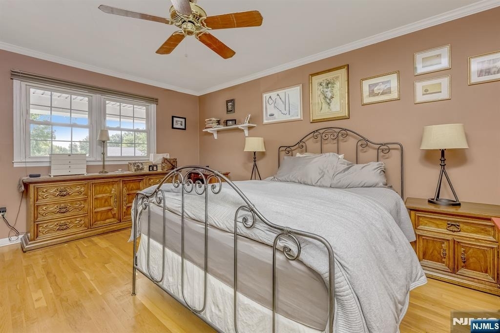 65 Forsythia - Photo 14