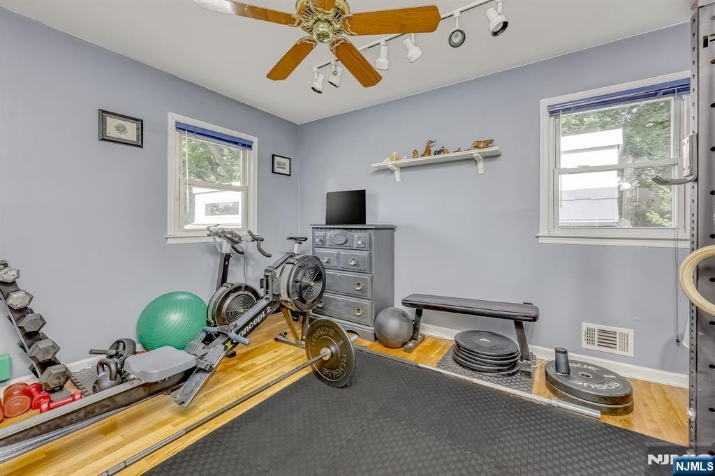 65 Forsythia - Photo 16