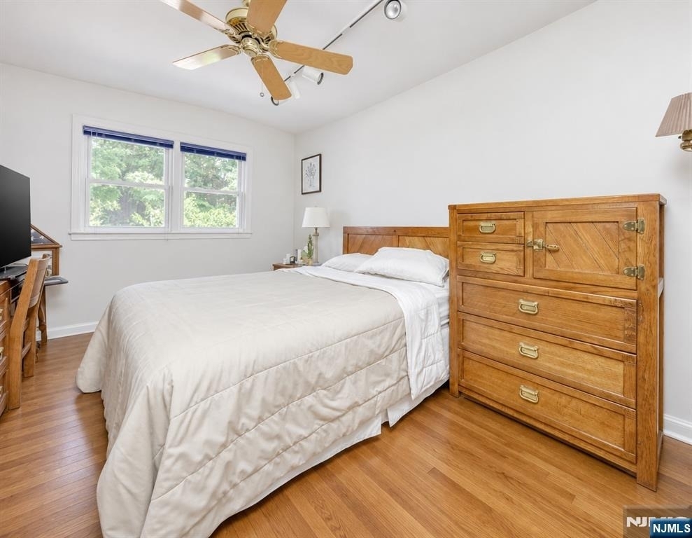 65 Forsythia - Photo 15