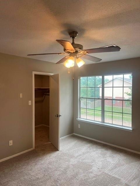 5810 Westminster Village Drive - Photo 6