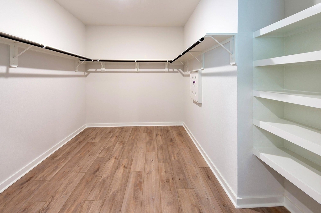 16814 Olive Brush Lane - Photo 11