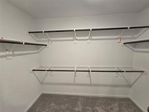 2619 Rain Quail Court - Photo 7