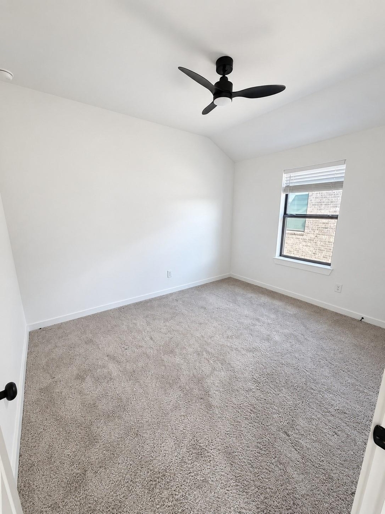21506 Sand Fringepod Way - Photo 24