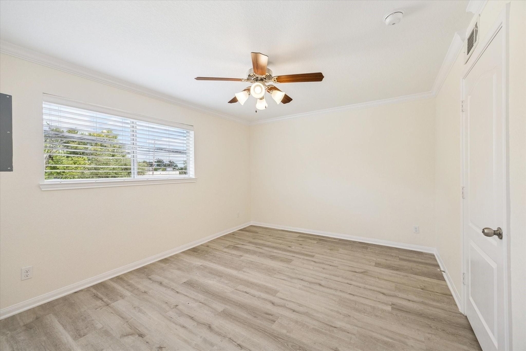 300 Pecore Street - Photo 7
