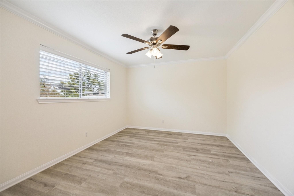 300 Pecore Street - Photo 9
