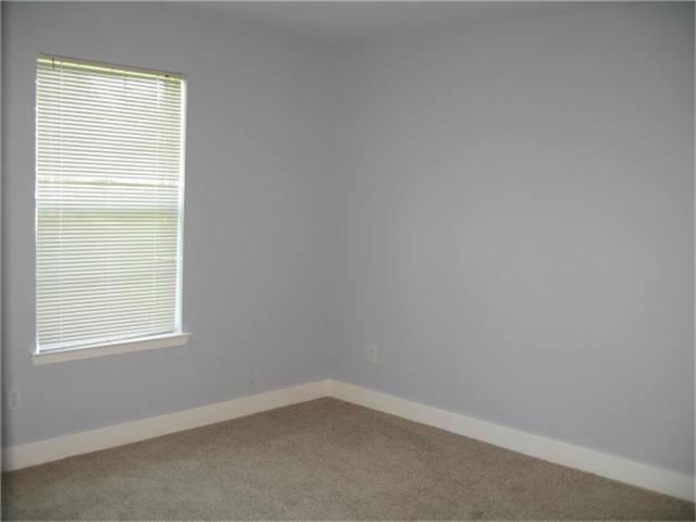 11911 Sanspereil Drive - Photo 11