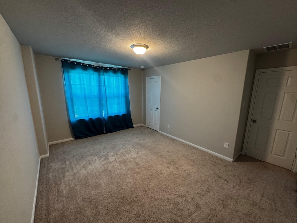 10310 Mount Winchell - Photo 18