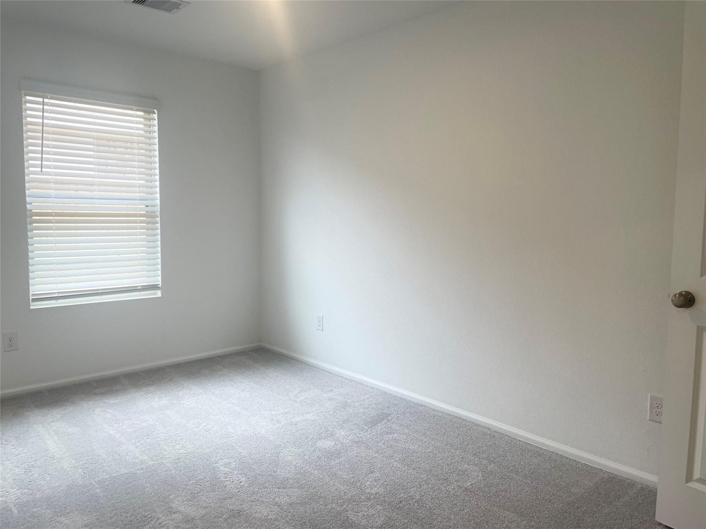 21919 Scopeto Lane - Photo 14
