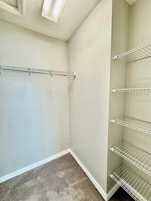 7123 Summer Holly Place - Photo 15