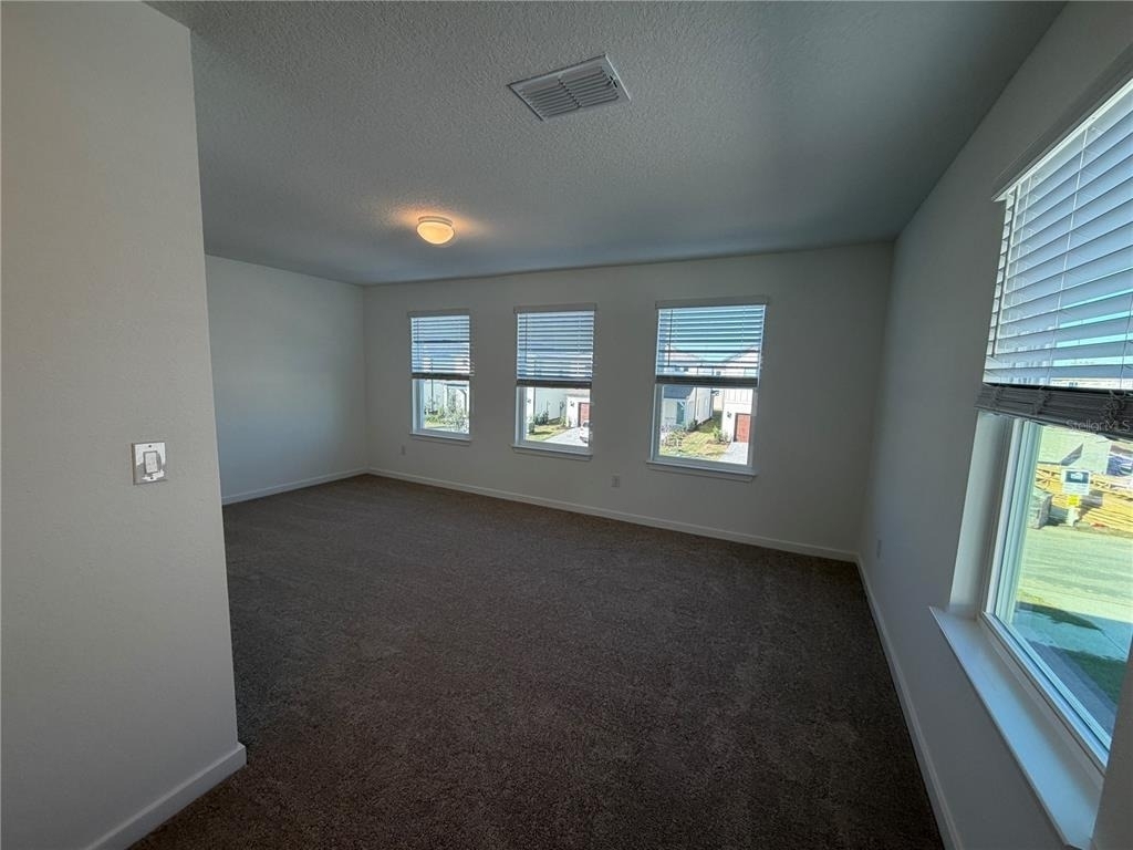 33424 Binding Ties Lane - Photo 24
