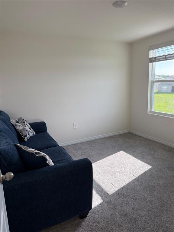 2907 Rock Sound Street - Photo 29