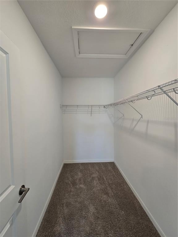 11207 Fieldstone Drive - Photo 12