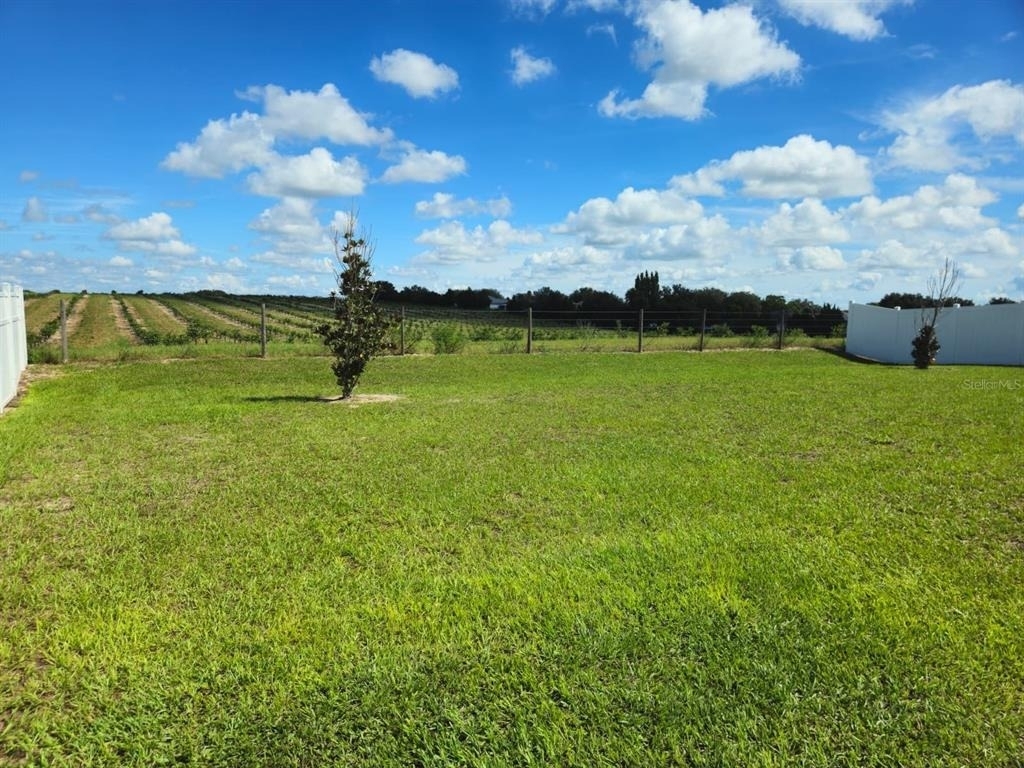 2058 Ficus Street - Photo 4