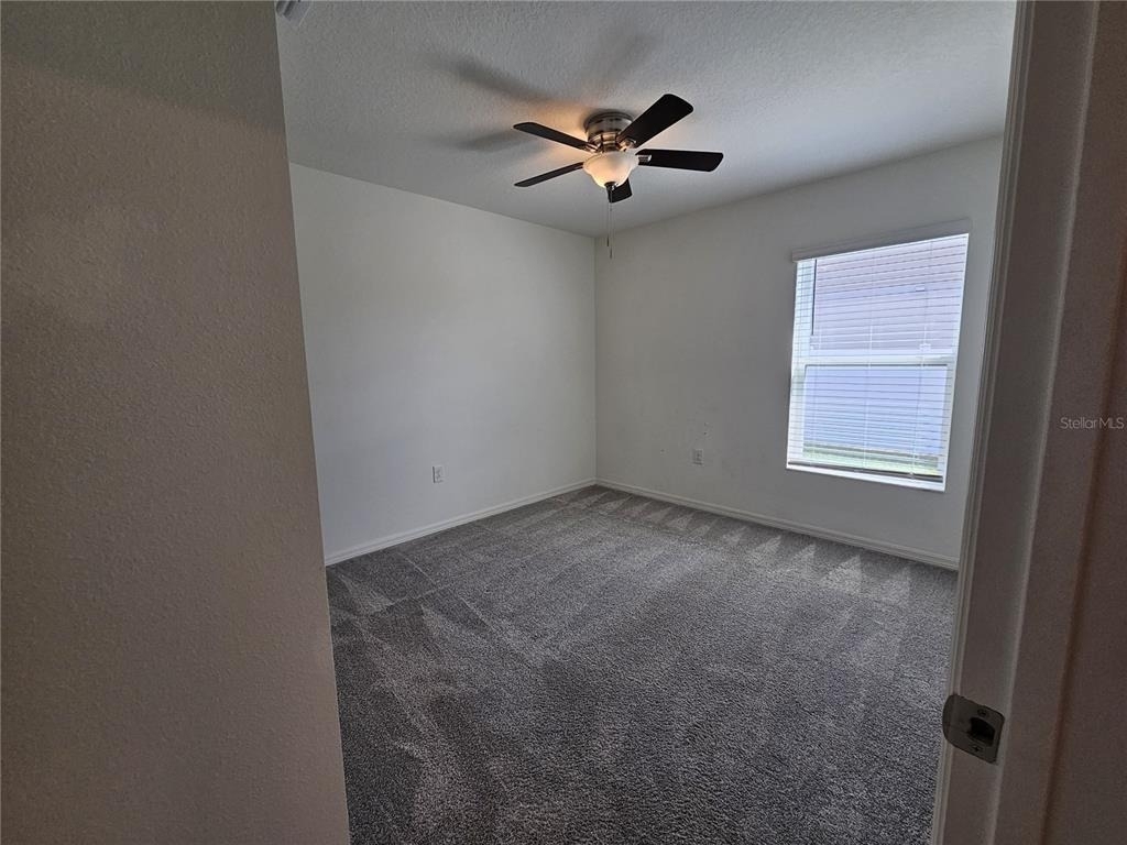 2058 Ficus Street - Photo 12