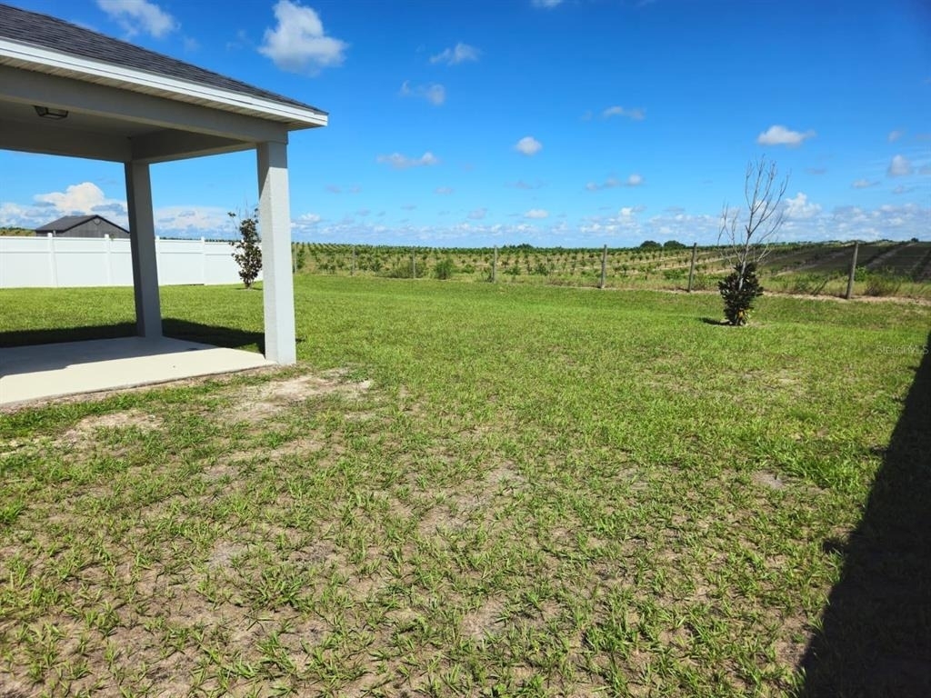2058 Ficus Street - Photo 3