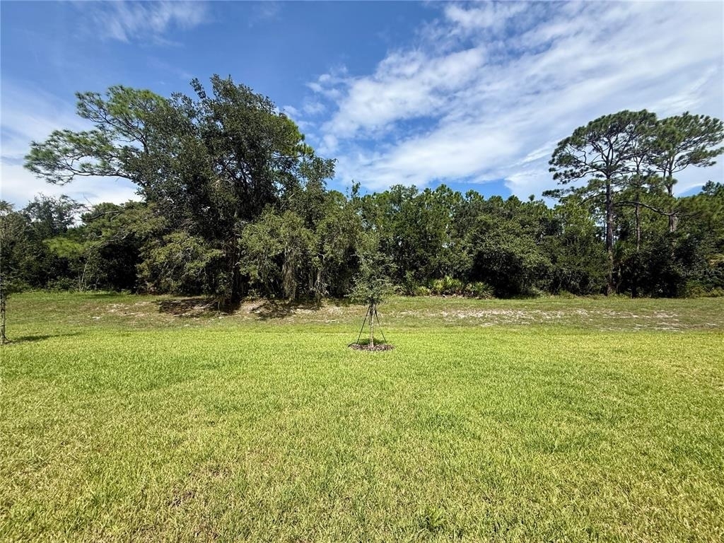 2504 Dorset Court - Photo 24