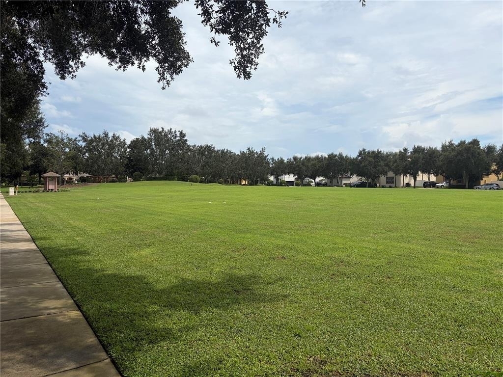 6436 Golden Dewdrop Trail - Photo 4