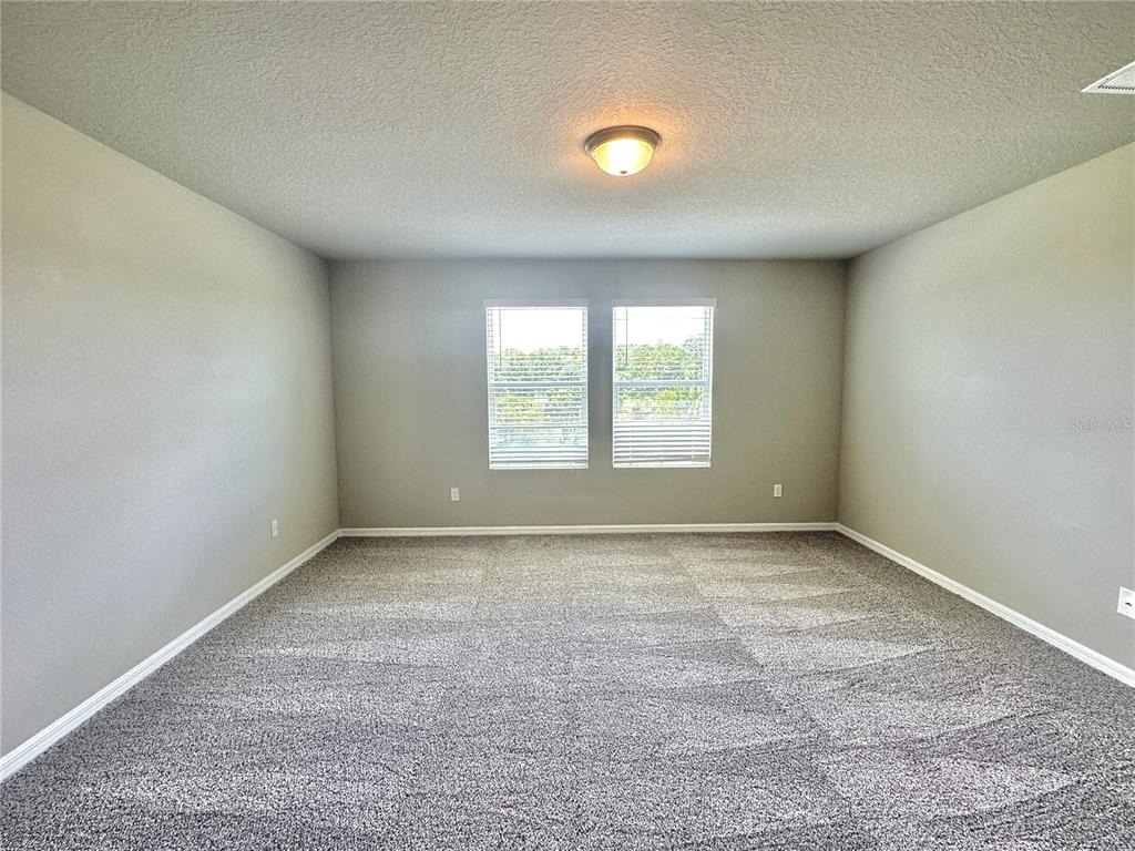 371 Whistling Duck Trail - Photo 9