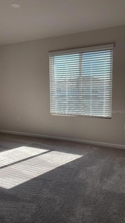1064 Sugarwood Street - Photo 22